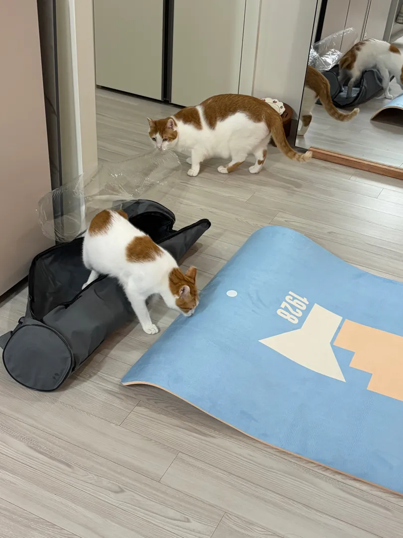 디즈니에디션스카이블루 리뷰