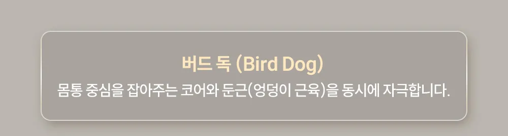 상세 이미지_19