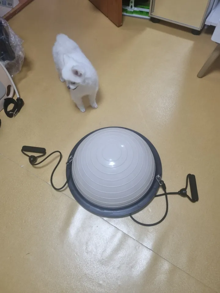 하프짐볼 베이지 46cm 리뷰