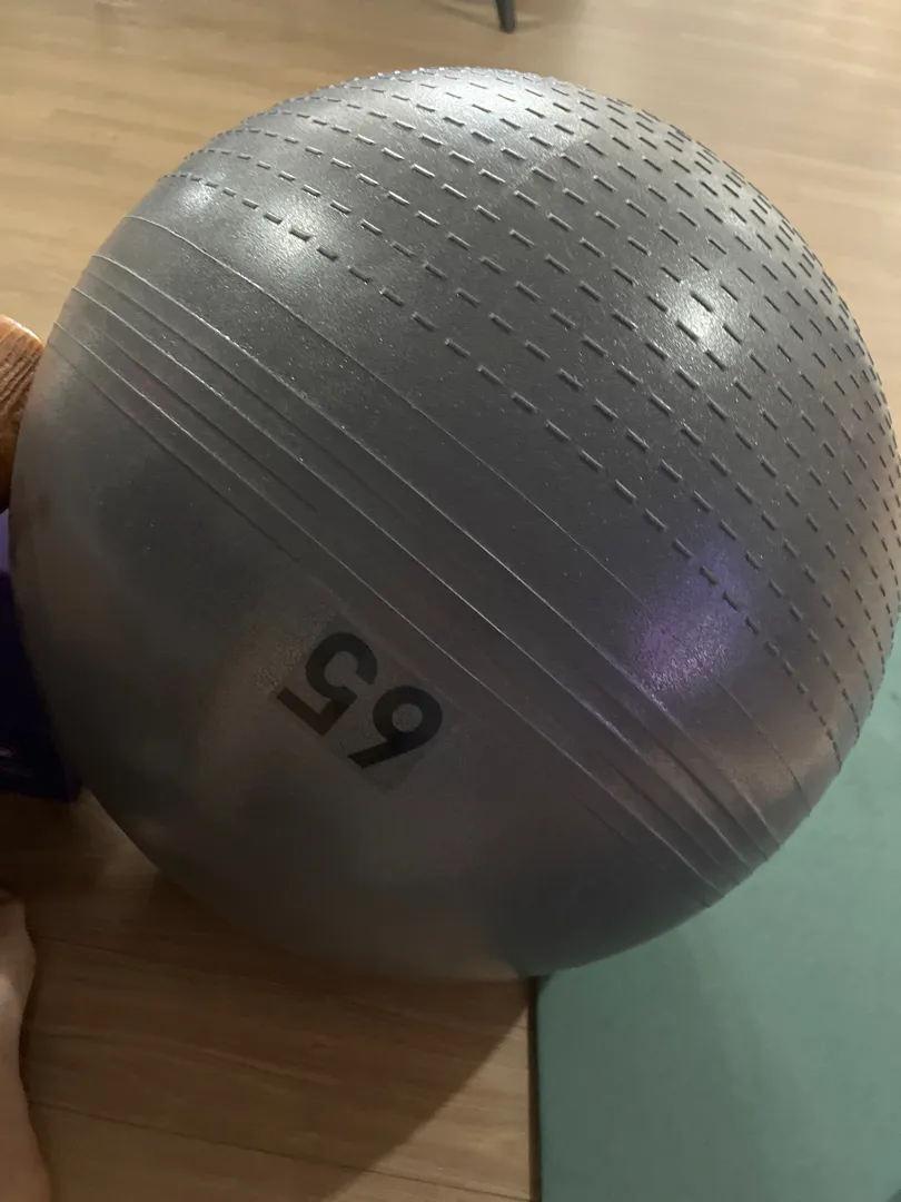 짐볼 65cm 그레이 리뷰