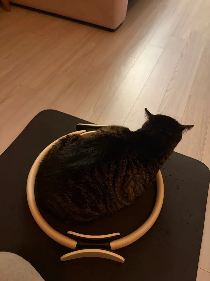 써클링 베이지 리뷰