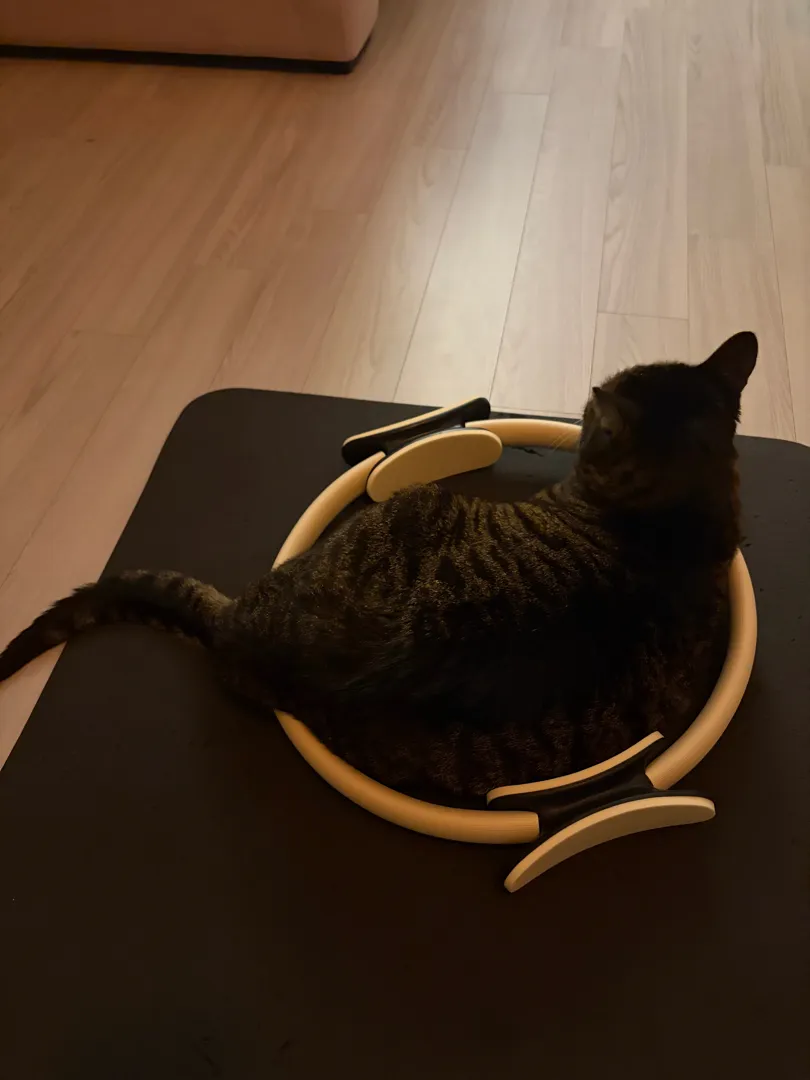 써클링 베이지 리뷰