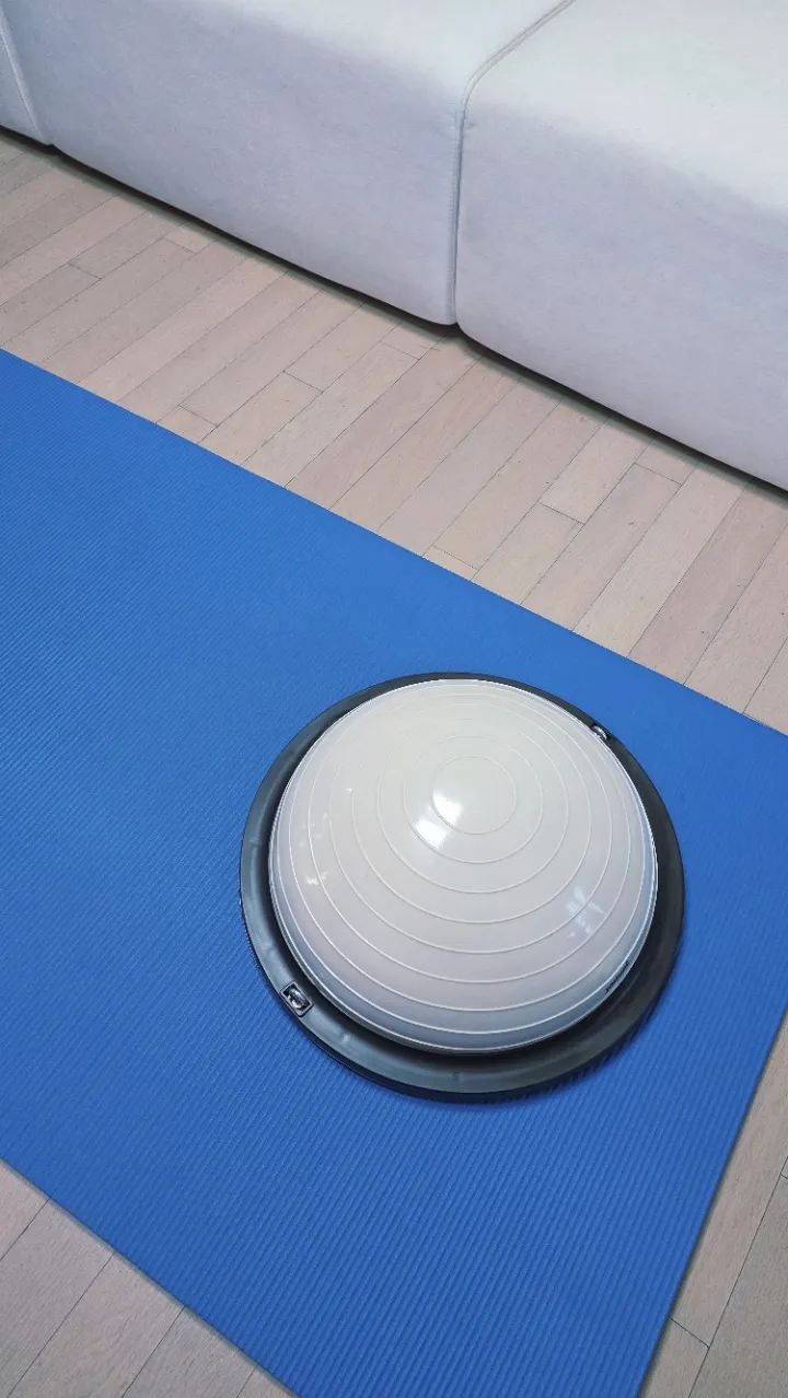 하프짐볼 베이지 46cm 리뷰