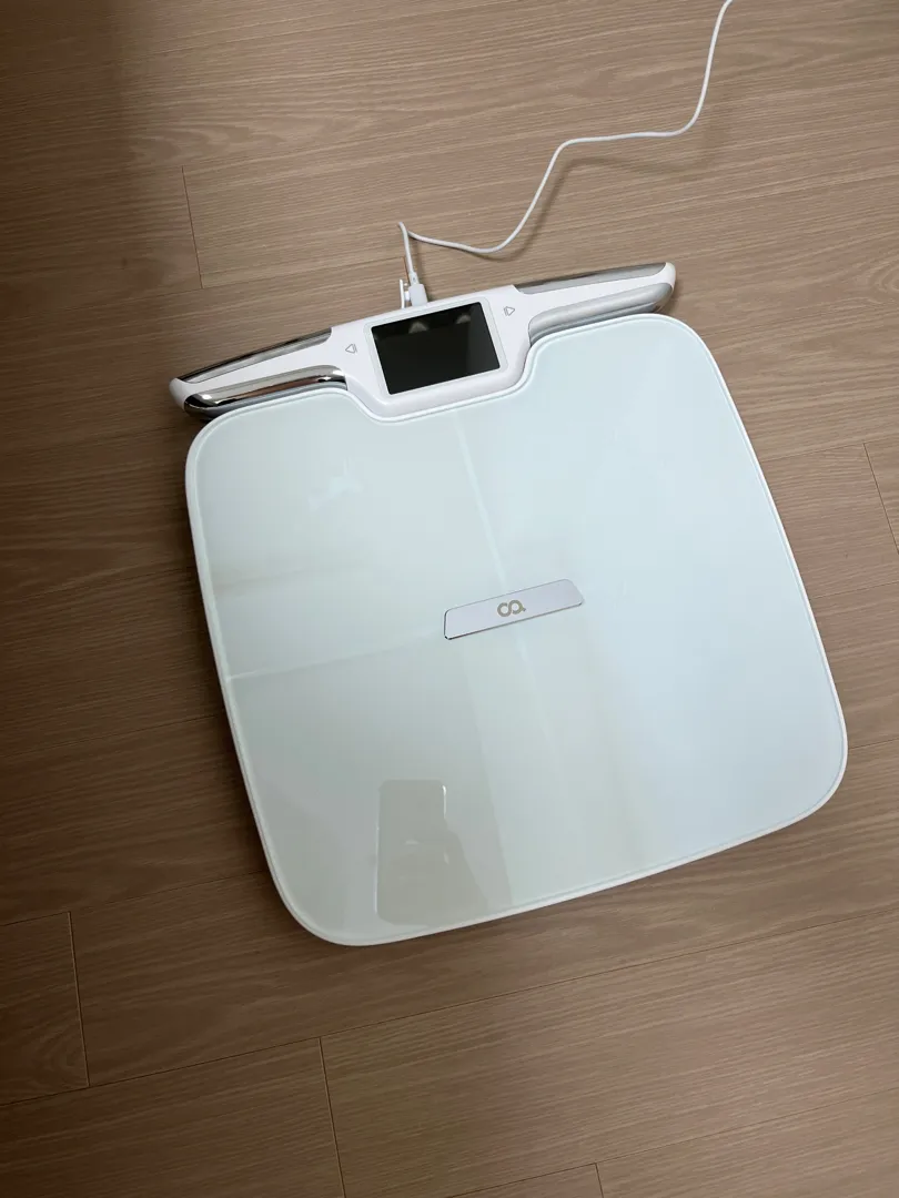 그립인 스마트 체중계 A00969 리뷰