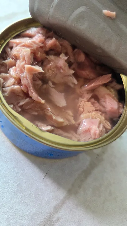참치 인 워터 100g x 8캔 리뷰