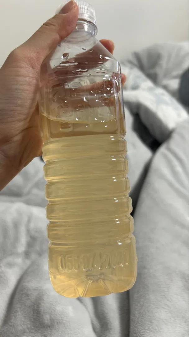 애사비 스틱 1봉 (21포) 리뷰