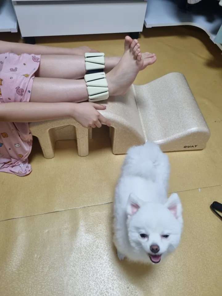 탄성 루프밴드 (3ea) + 웨이트밴드 (2ea) 리뷰