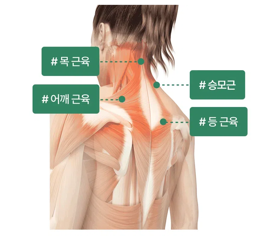상세 이미지_12