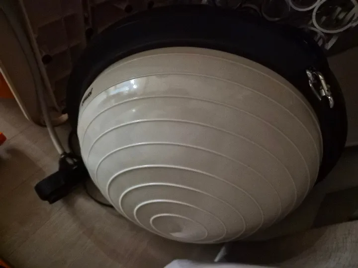 하프짐볼 베이지 46cm 리뷰
