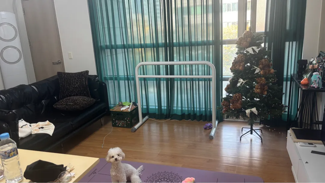 발레바 화이트 리뷰