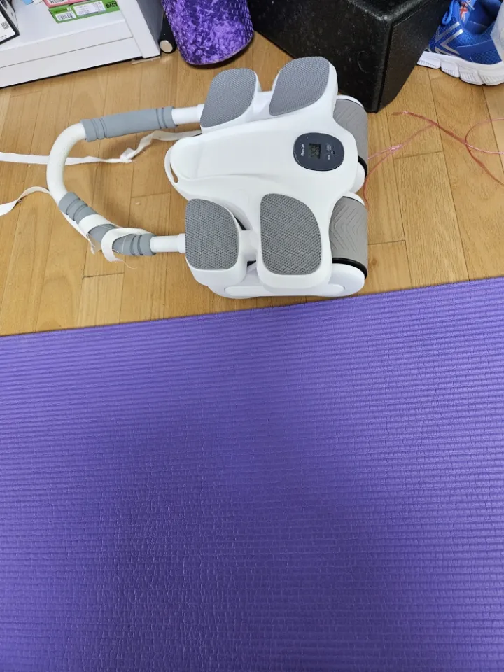 숀리 ab슬라이드 플랭크 맥스 리뷰
