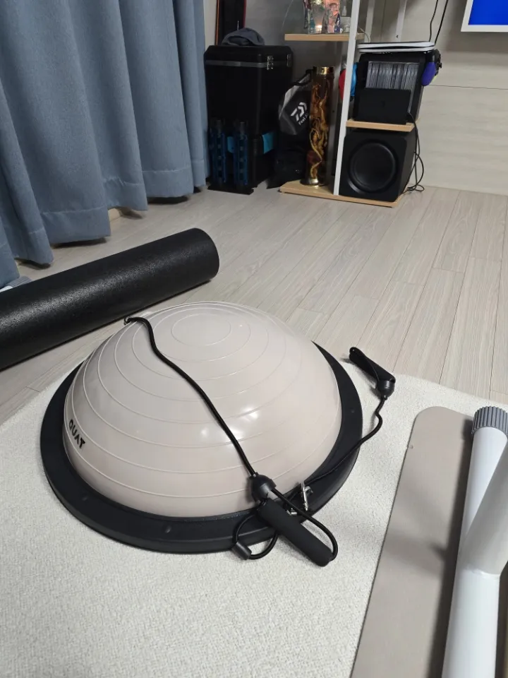 하프짐볼 베이지 58cm 리뷰