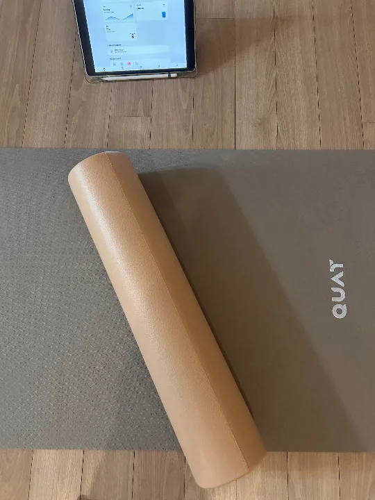 듀얼폼롤러 리뷰