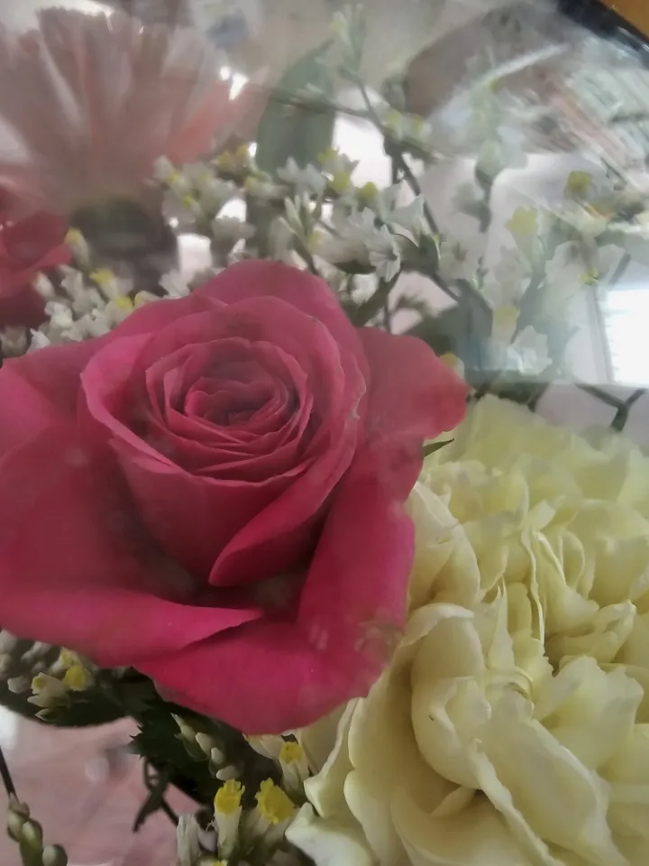 웨이크업뷰티 무라벨 500ml X 40병 리뷰